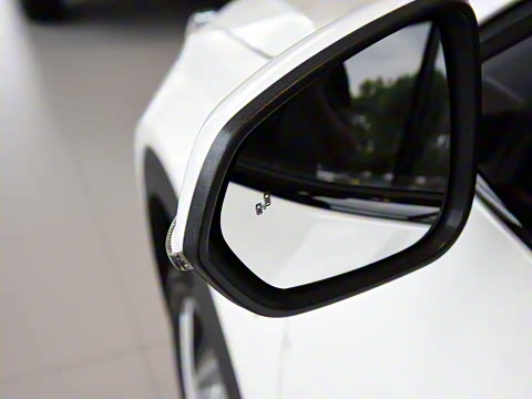 2021�� Pro 500 ���°�