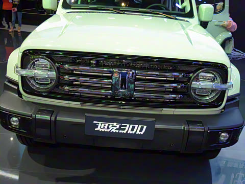 2021�� ���а� 2.0T ������