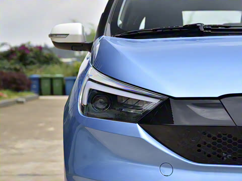 2021�� С�״�������