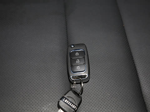 2021�� 1.5L �ͳ�����ʨ 5��