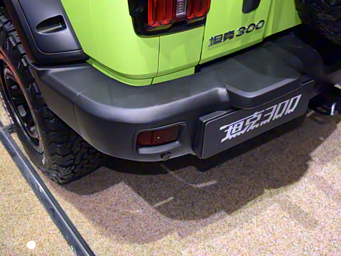 2021�� 2.0T ̹������