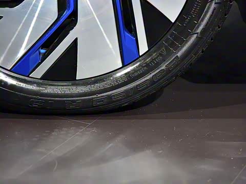 2017�� 310 ������