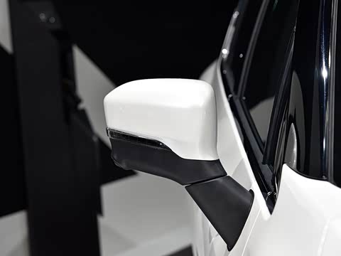 2017�� 310 ������