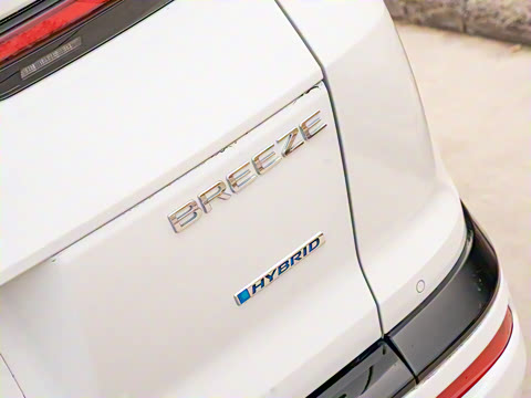 2021�� �񡤻춯 2.0L ����������