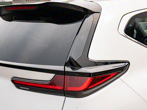 2021�� �񡤻춯 2.0L ����������