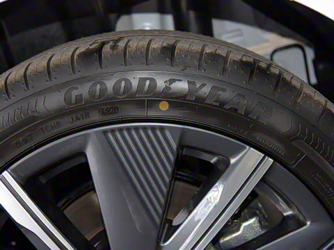 2021�� ����