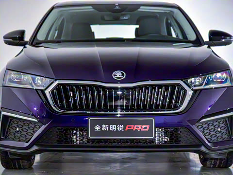 2021�� PRO TSI280 DSG�콢��