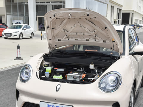 2025�� 430km ������