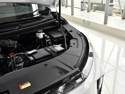 2024�� �Ŀ� ���� ��������ɭ�ְ� ����