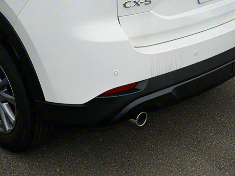 2025�� 2.0L �Զ���������Pro