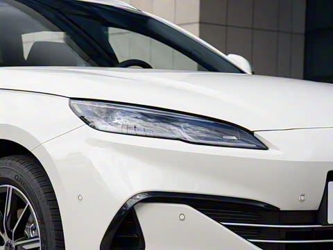 2025�� DM-i 80KM�����