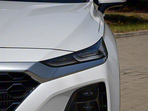 2020�� 380 TGDi �Զ�����DLX HTRAC����PLUS