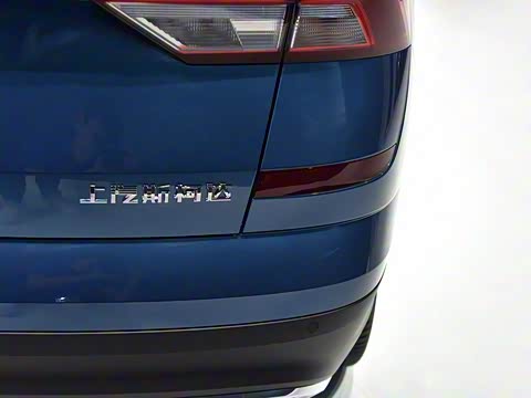 2018�� 1.5L �Զ����ʰ� ��V