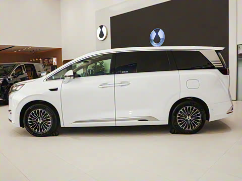 2025�� DM-i �Ǽݰ� 1100 ������