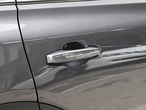 2020�� 390T �������������棨������