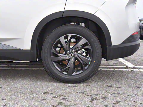 2025�� 518������