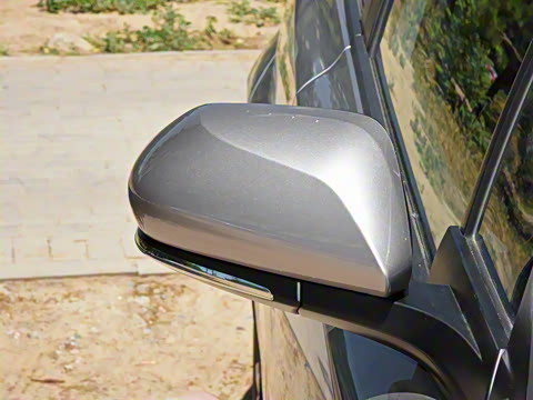 2021�� ˫�� 2.0L ������