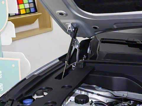 2025�� 210Max���Ȱ� 5��