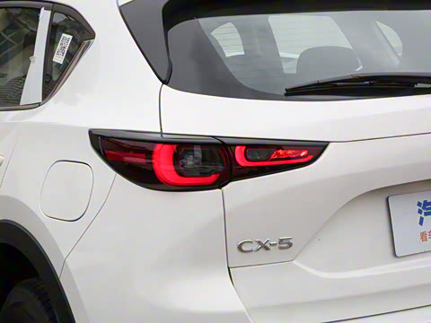 2024�� 2.0L �Զ���������Pro