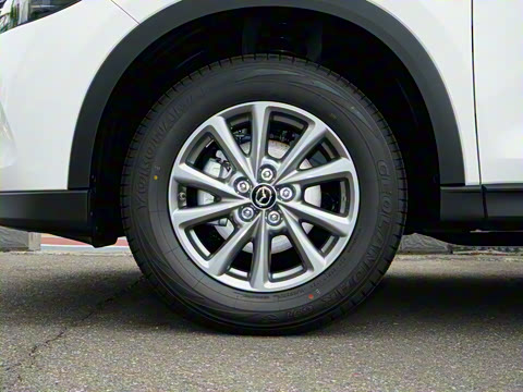 2025�� 2.0L �Զ���������Pro