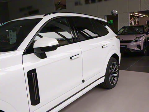 2025�� 2.0TD EM-P ����Max ����