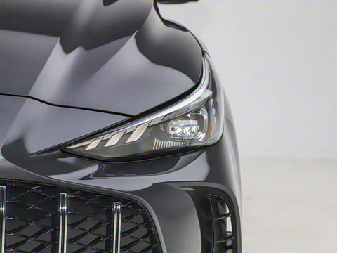 2026�� 300DTGI ȫ���콢MAX��