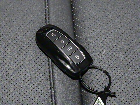 2025�� EcoBoost 170 ������