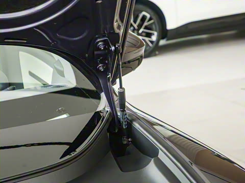 2025�� Max�����