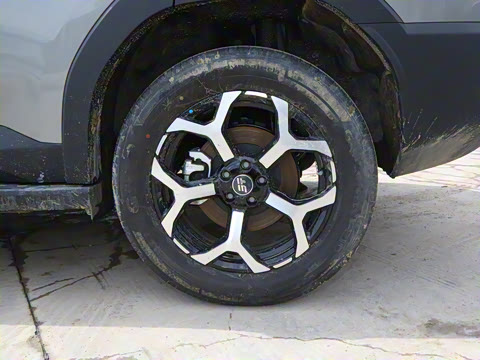 2025�� 226km ��Խ