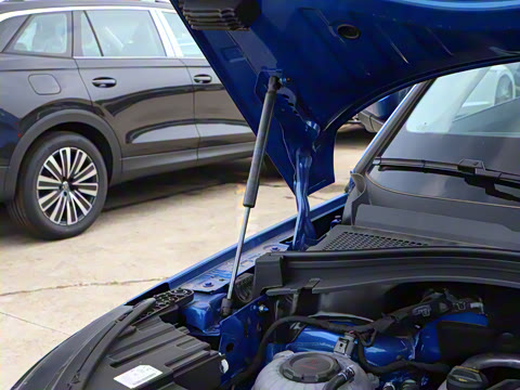 2025�� TSI380 7�������콢��