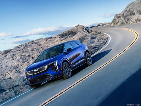 ��������(����) IQ����(����)