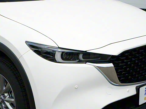 2025�� 2.0L �Զ���������Pro