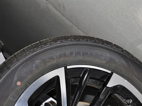 2021�� ���������ְ�������