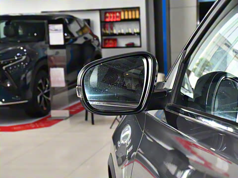 2025�� 1.5L �ֶ�������