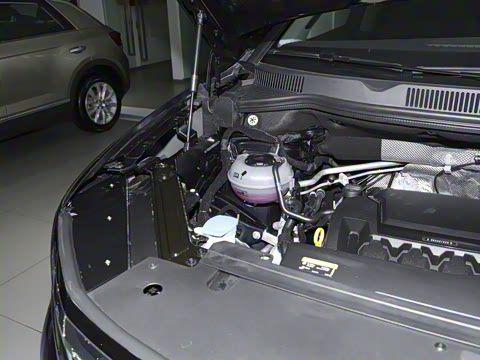 2021�� 380TSI �����콢ʤ����