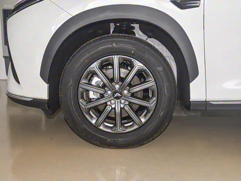 2025�� 1.5T ɽ��� 5��