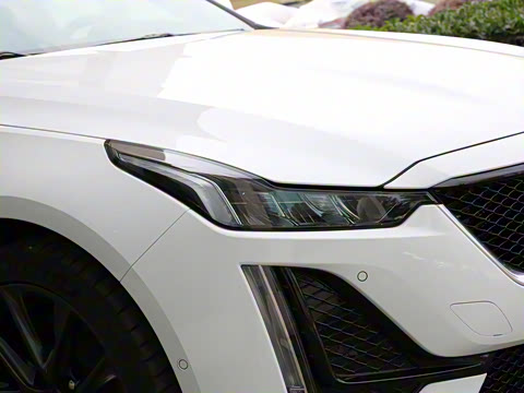 2021�� 28T ������