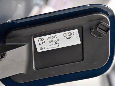 2019�� 55 TFSI ��ѡ������