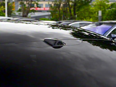 2025�� ���� Max