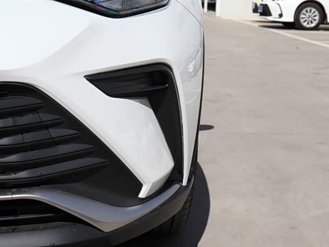 2021�� ˫�� 2.0L ������