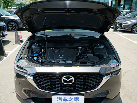 2025�� 2.0L �Զ�����������