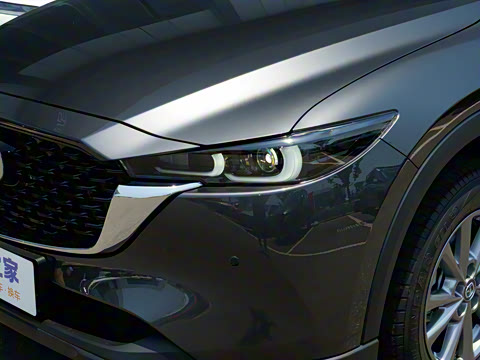 2025�� 2.0L �Զ�����������