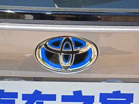 2021�� ˫�� 2.0L ������