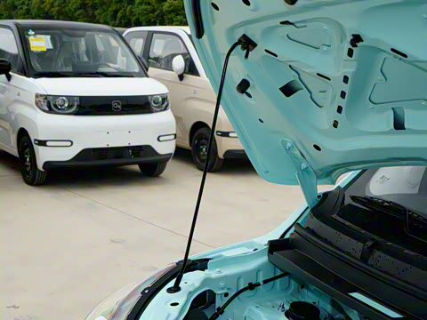 2025�� 305km ������