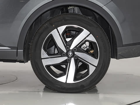 2024�� ������ 1.5T DCT�����