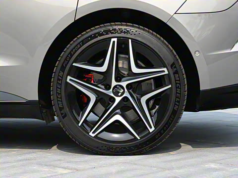 2025�� ������