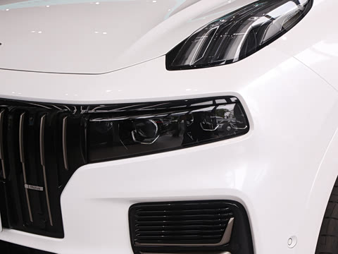 2025�� 2.0TD EM-P ����Max ����