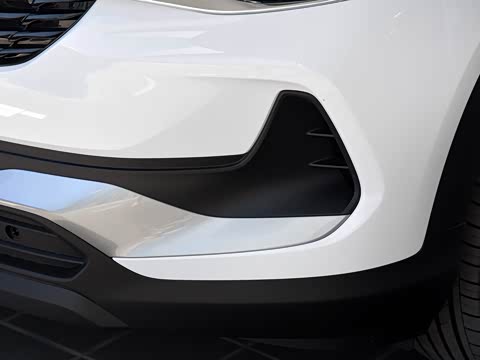 2020�� 20T CVT��Ӣ��