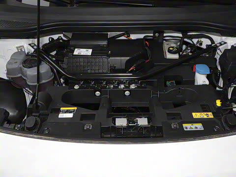 2025�� ������������ʿPRO��