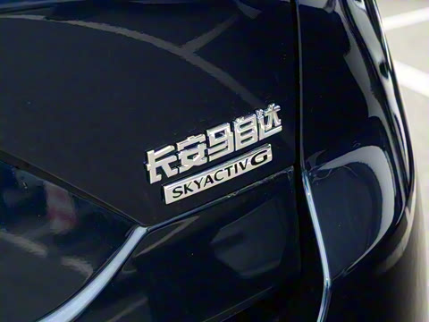 2025�� 2.0L �Զ�����������